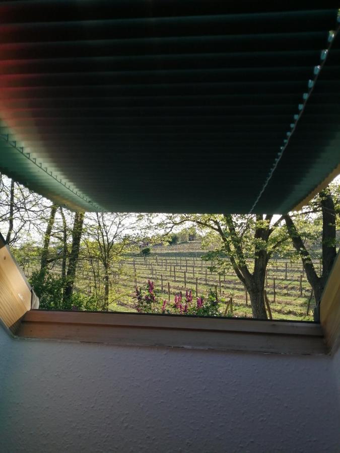 Pilikan Apartments - Park, Agroturism, Vineyard & Farm Cserszegtomaj Dış mekan fotoğraf