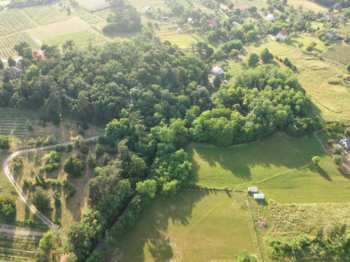 Pilikan Apartments - Park, Agroturism, Vineyard & Farm Cserszegtomaj Dış mekan fotoğraf