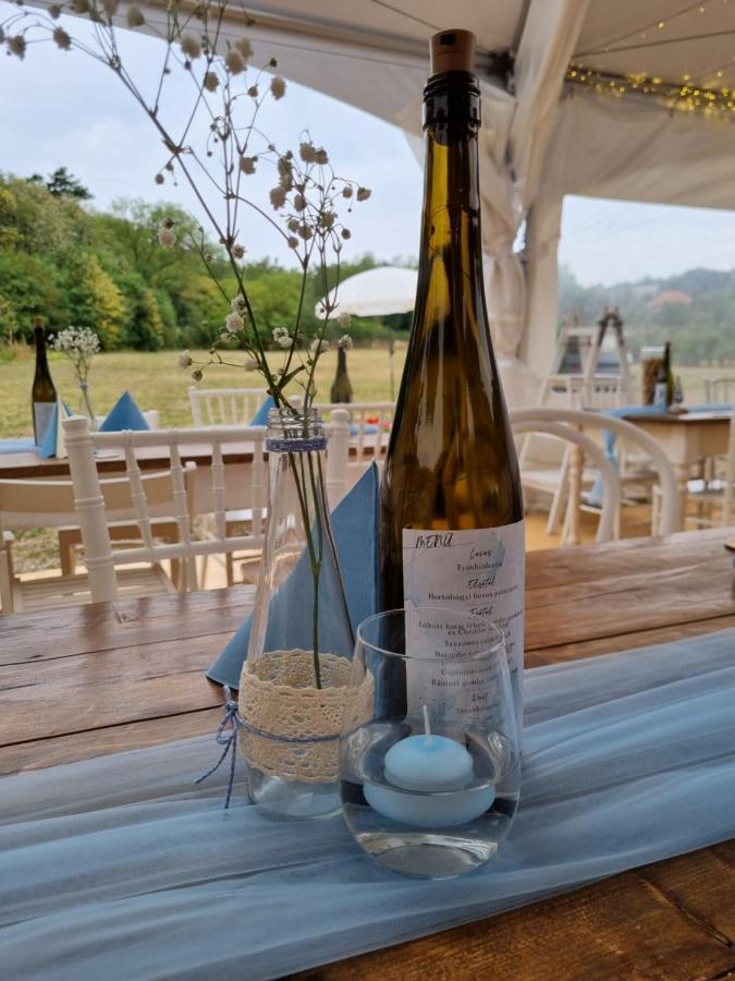 Pilikan Apartments - Park, Agroturism, Vineyard & Farm Cserszegtomaj Dış mekan fotoğraf