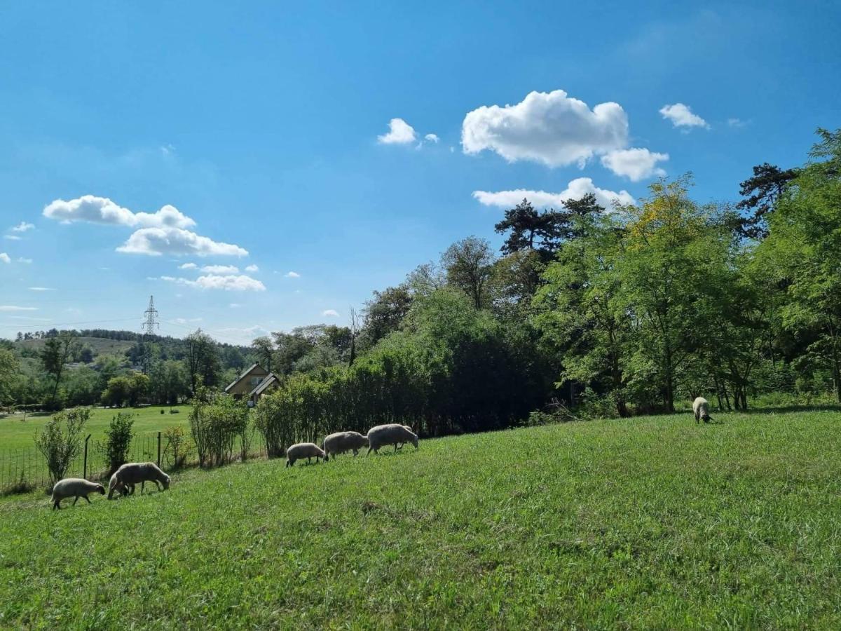 Pilikan Apartments - Park, Agroturism, Vineyard & Farm Cserszegtomaj Dış mekan fotoğraf