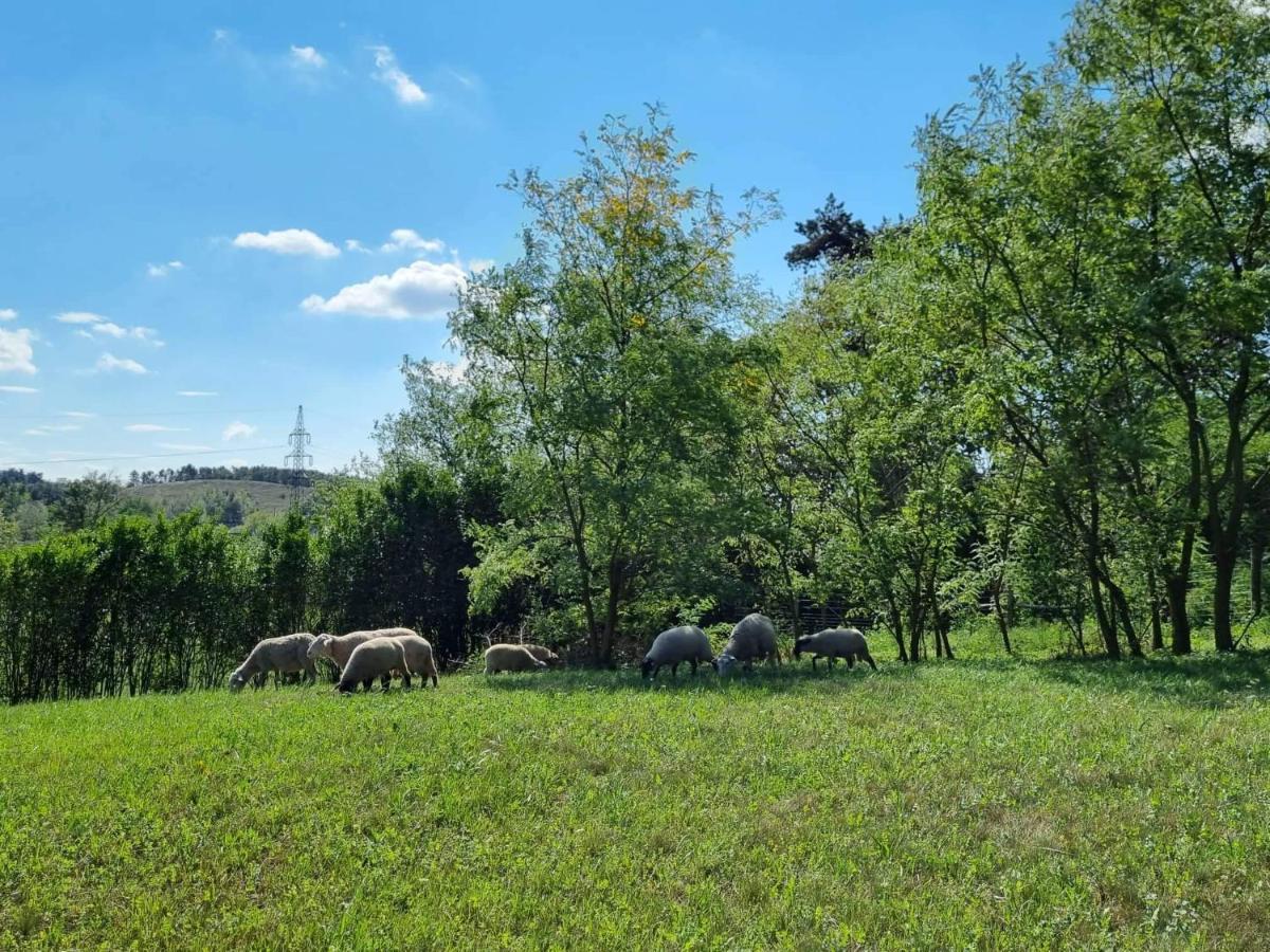 Pilikan Apartments - Park, Agroturism, Vineyard & Farm Cserszegtomaj Dış mekan fotoğraf