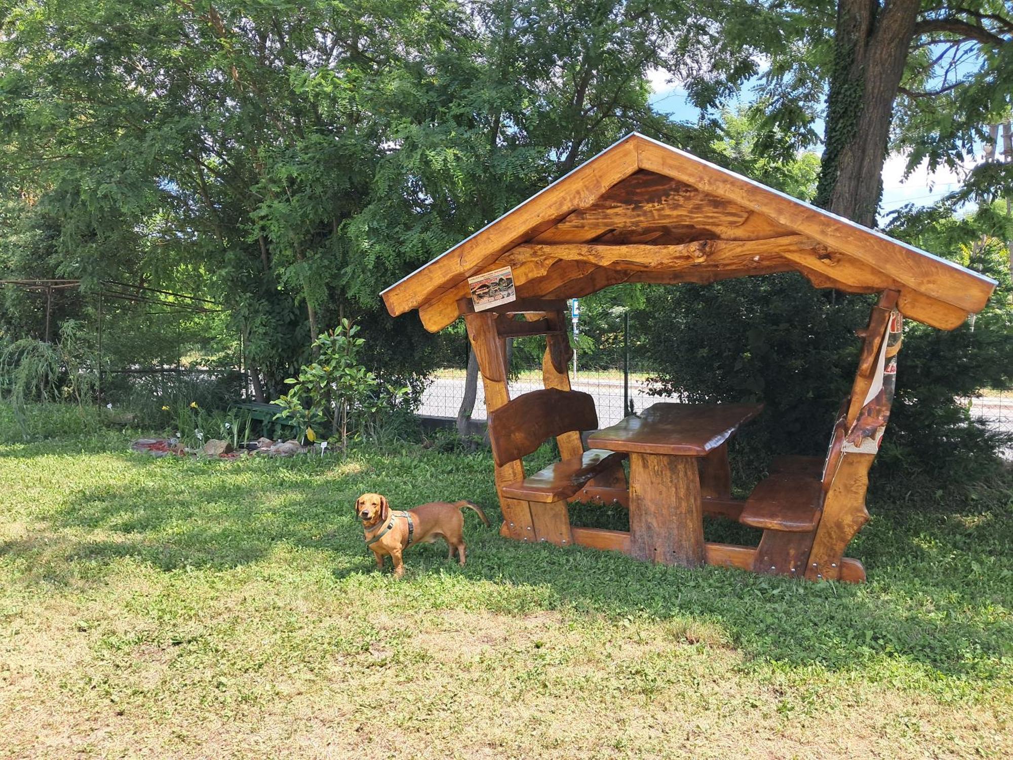 Pilikan Apartments - Park, Agroturism, Vineyard & Farm Cserszegtomaj Dış mekan fotoğraf